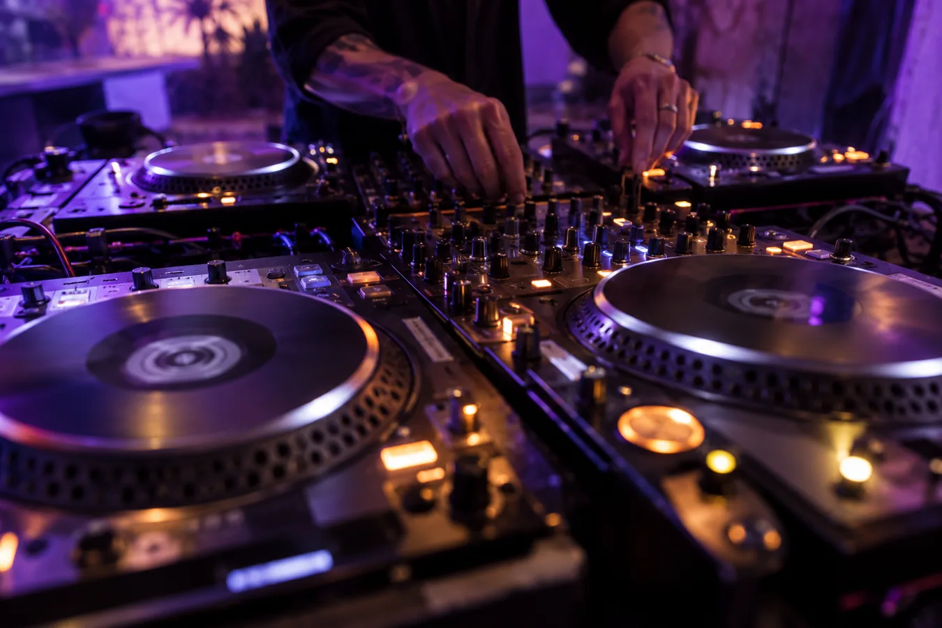 Sub-Bass Dominance Versus Percussive Groove Waveform
